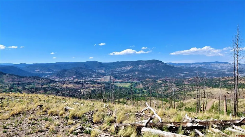 535 Elk CT South Fork, CO 81154