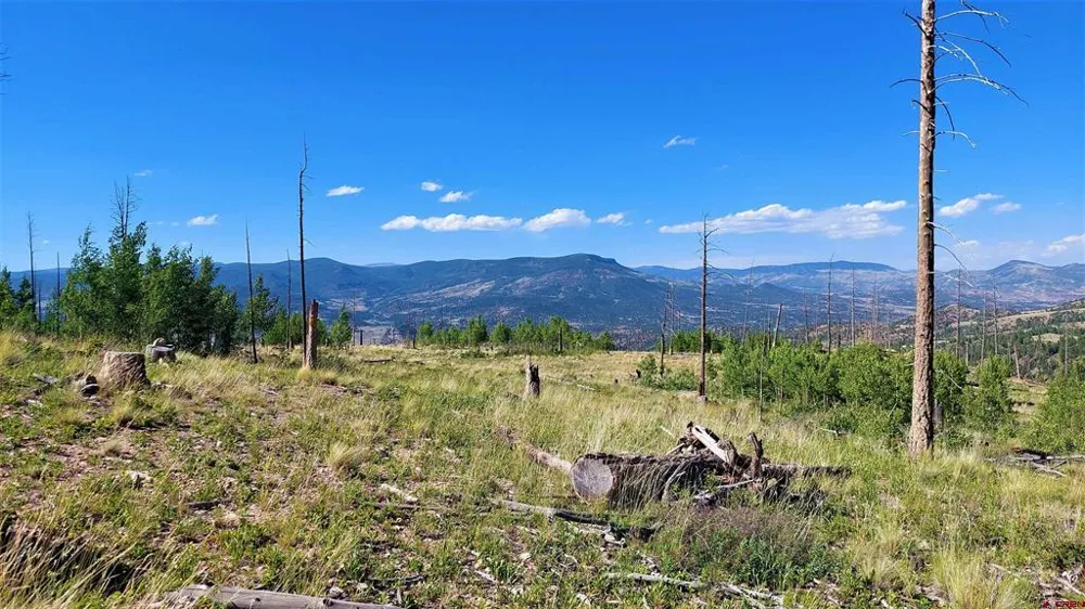 535 Elk CT South Fork, CO 81154