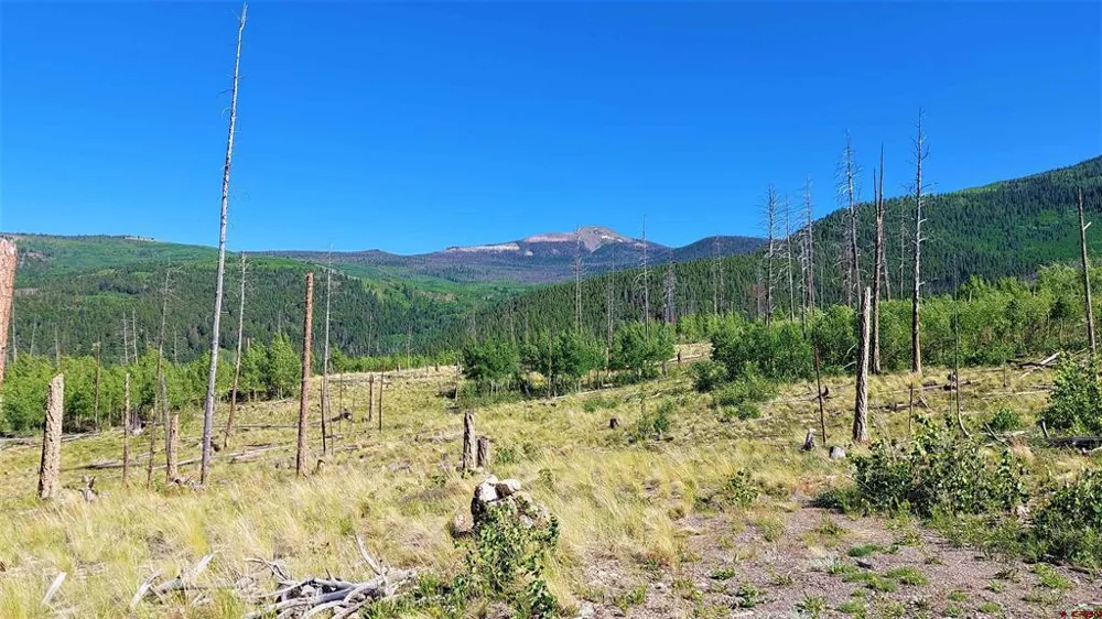 535 Elk CT South Fork, CO 81154