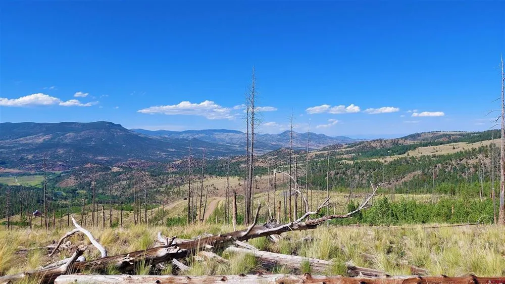535 Elk CT South Fork, CO 81154