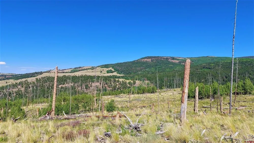 535 Elk CT South Fork, CO 81154