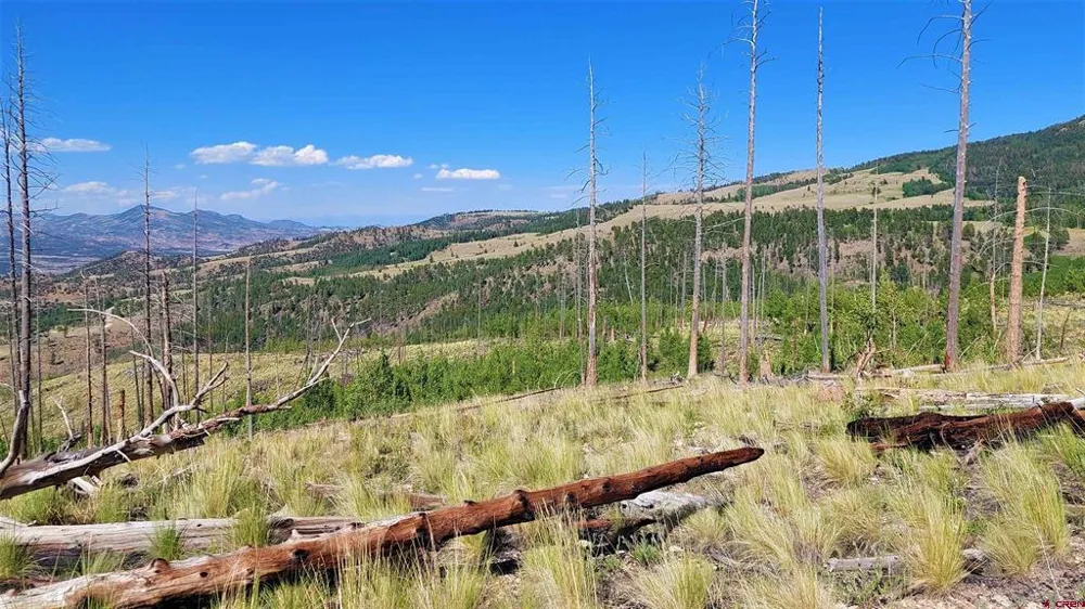 535 Elk CT South Fork, CO 81154