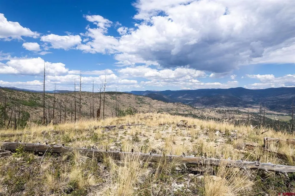 535 Elk CT South Fork, CO 81154