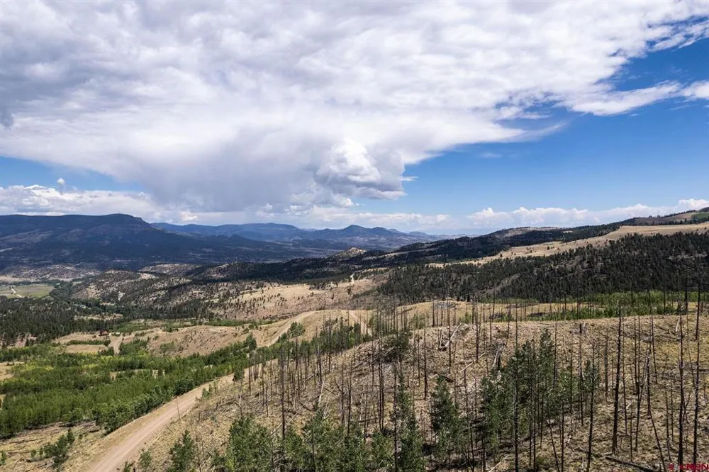 535 Elk CT South Fork, CO 81154