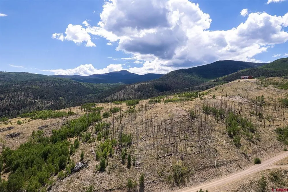 535 Elk CT South Fork, CO 81154