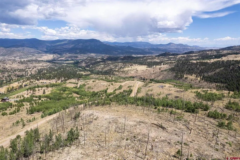 535 Elk CT South Fork, CO 81154