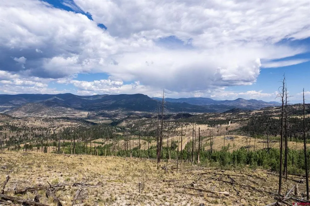 535 Elk CT South Fork, CO 81154