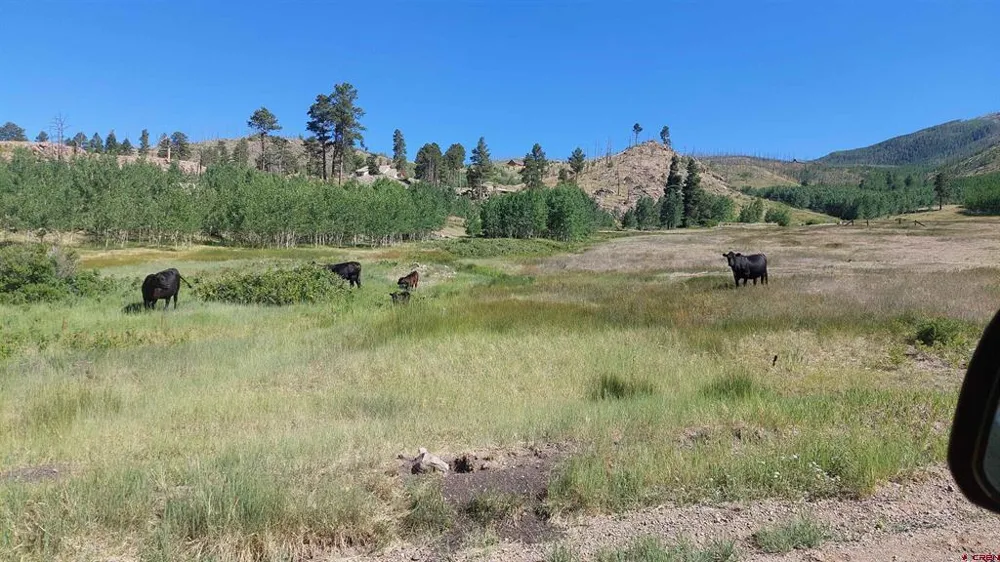 535 Elk CT South Fork, CO 81154