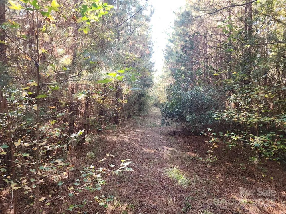 1202 Willow Brook Road Nashville, NC 27856
