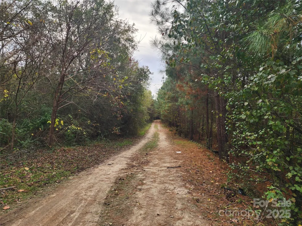 1202 Willow Brook Road Nashville, NC 27856