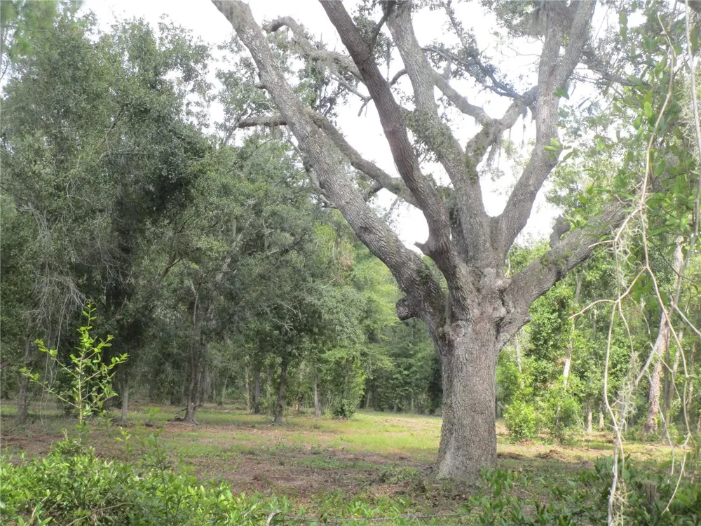 00 CASTLEWOOD ROAD Seffner, FL 33584