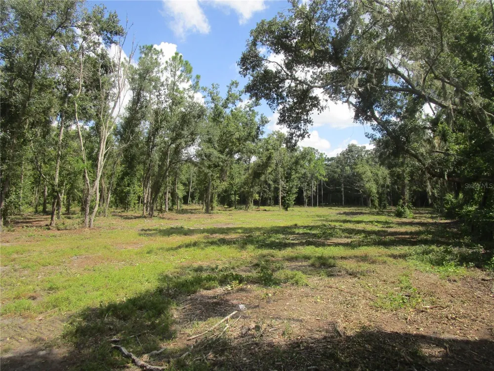 00 CASTLEWOOD ROAD Seffner, FL 33584