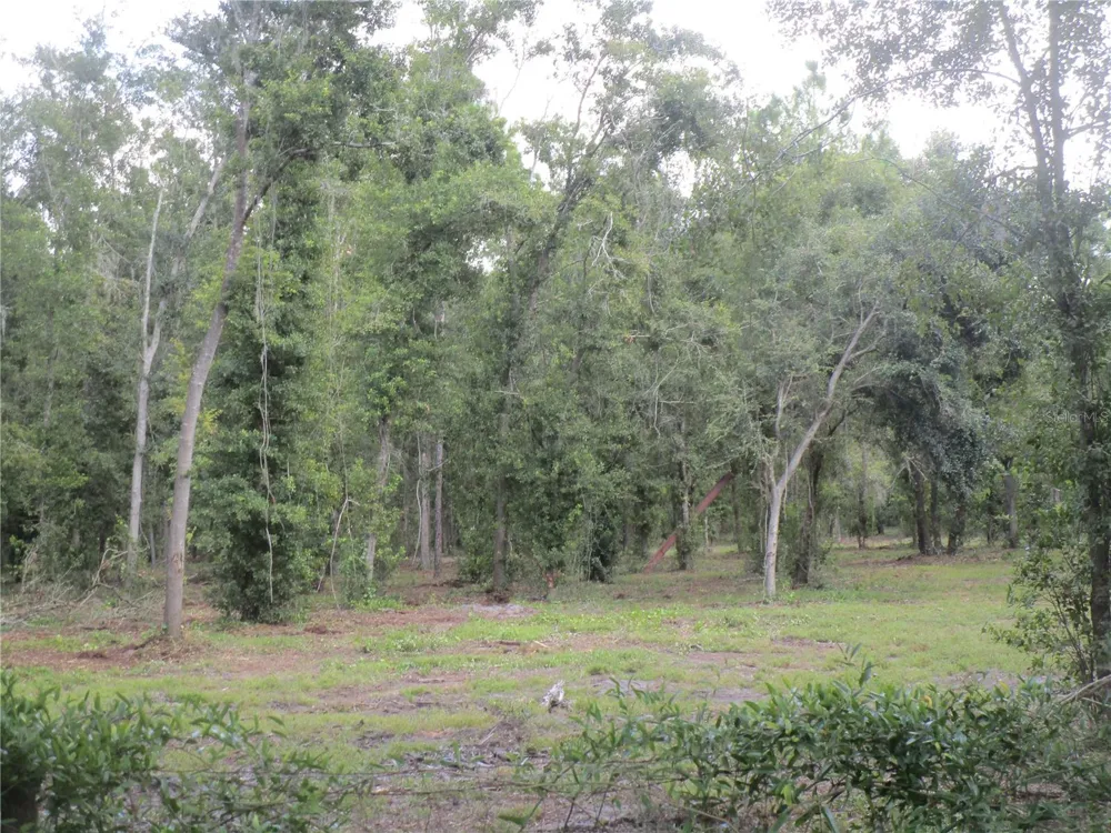 00 CASTLEWOOD ROAD Seffner, FL 33584