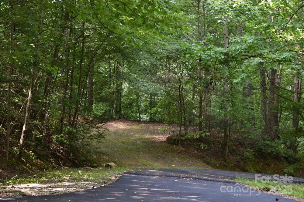 TBD Hideaway Ridge Trail #33 & 33A Robbinsville, NC 28771