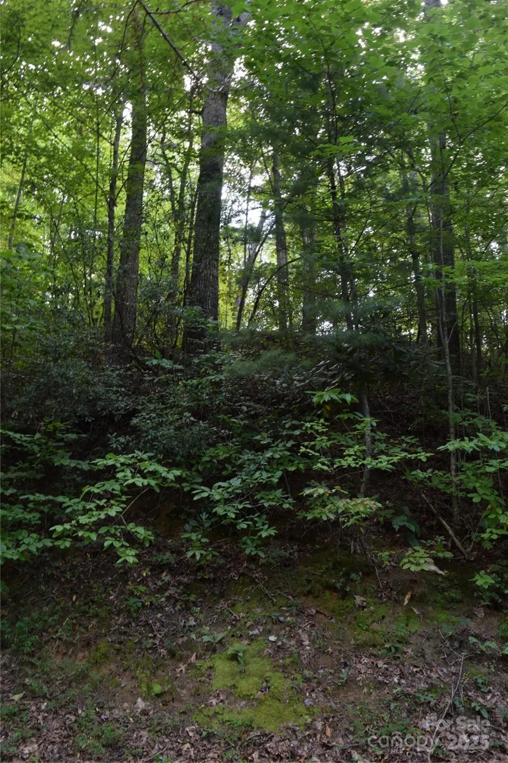 TBD Hideaway Ridge Trail #33 & 33A Robbinsville, NC 28771