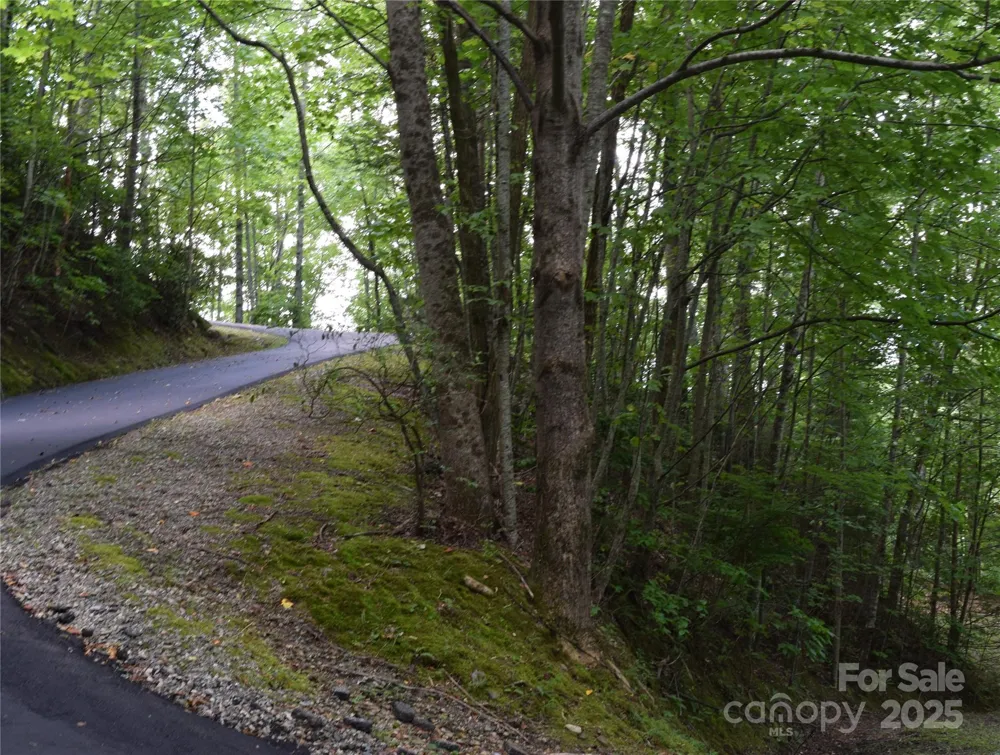 TBD Hideaway Ridge Trail #33 & 33A Robbinsville, NC 28771