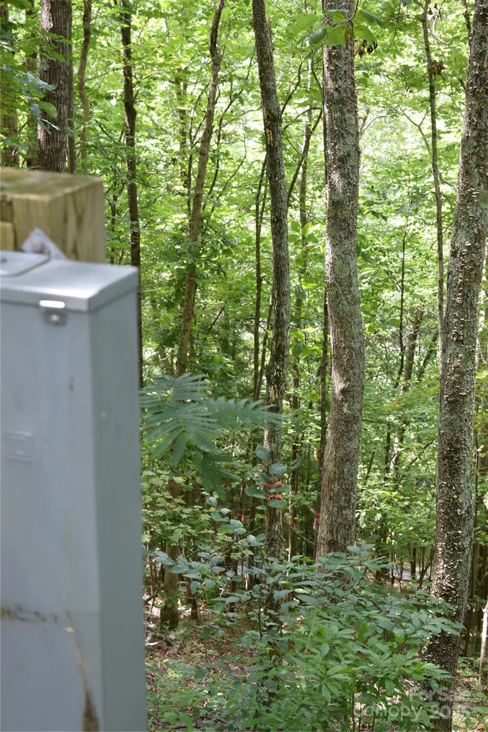 TBD Hideaway Ridge Trail #33 & 33A Robbinsville, NC 28771