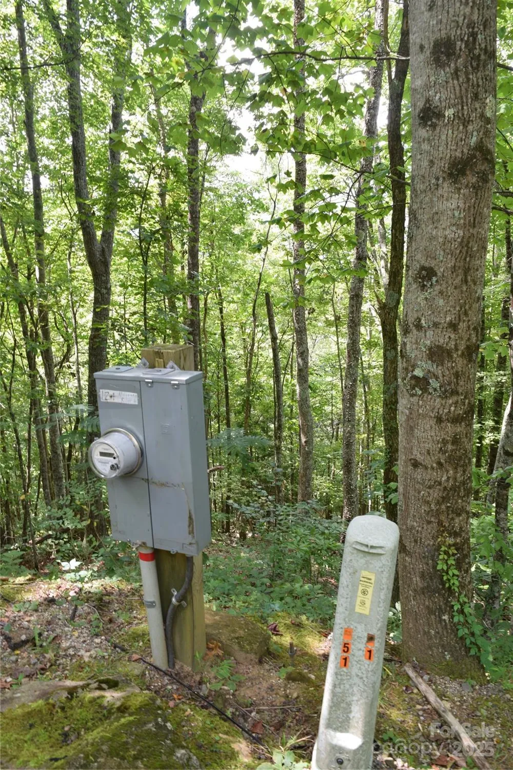 TBD Hideaway Ridge Trail #33 & 33A Robbinsville, NC 28771