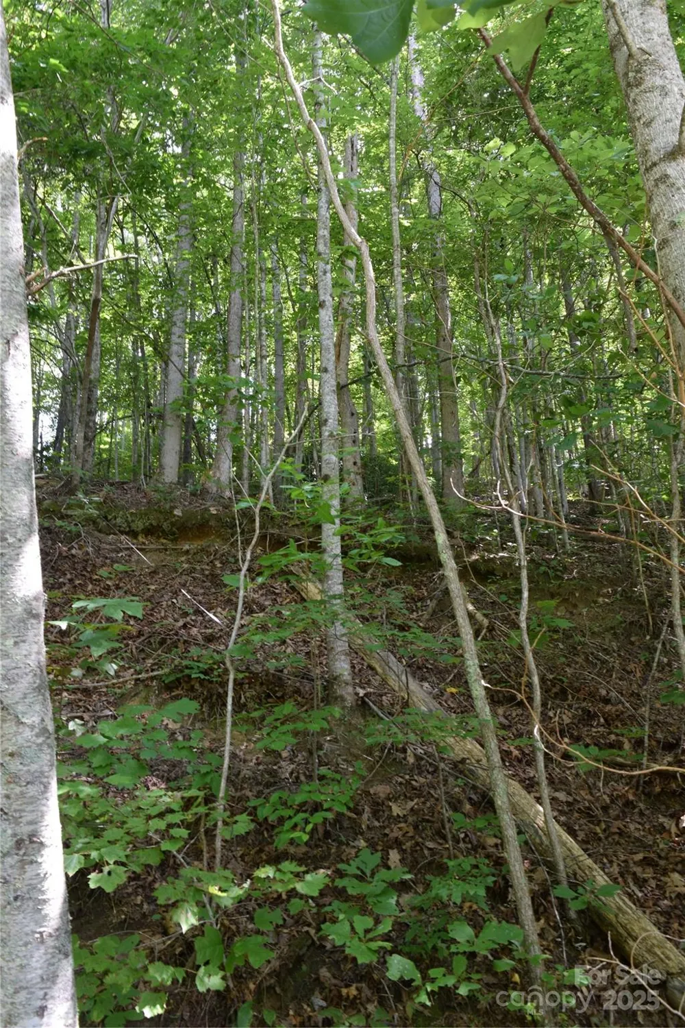 TBD Hideaway Ridge Trail #33 & 33A Robbinsville, NC 28771
