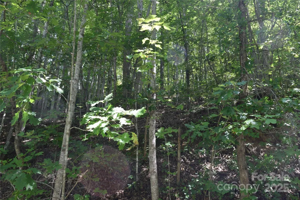 TBD Hideaway Ridge Trail #33 & 33A Robbinsville, NC 28771