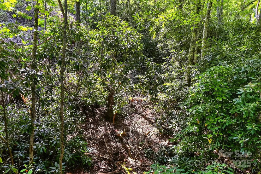99999 Yates Avenue Black Mountain, NC 28711
