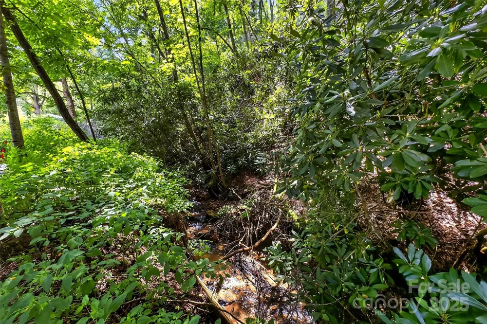 99999 Yates Avenue Black Mountain, NC 28711