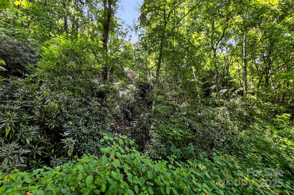 99999 Yates Avenue Black Mountain, NC 28711