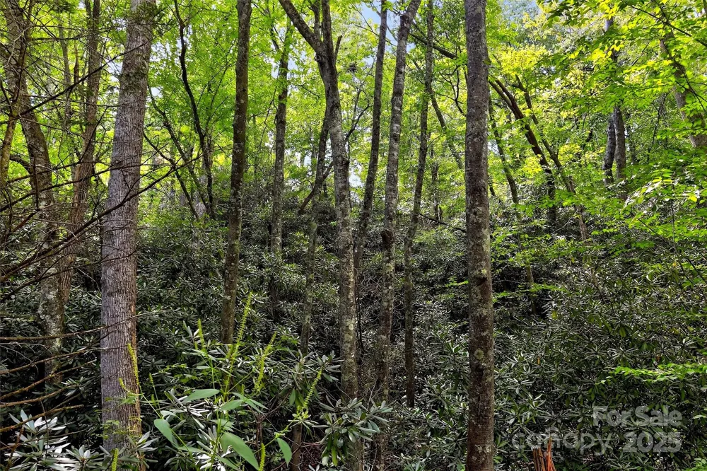 99999 Yates Avenue Black Mountain, NC 28711