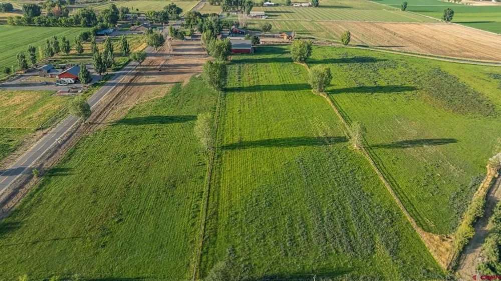 1577 14 1/2 ROAD Loma, CO 81524