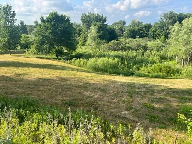 113 Par Drive Albany, MN 56307