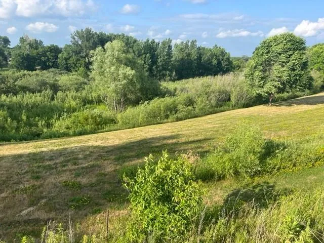 113 Par Drive Albany, MN 56307