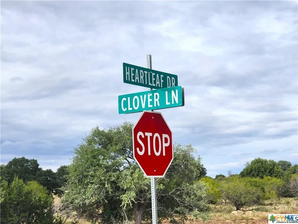 Heartleaf Drive Lampasas, TX 76550