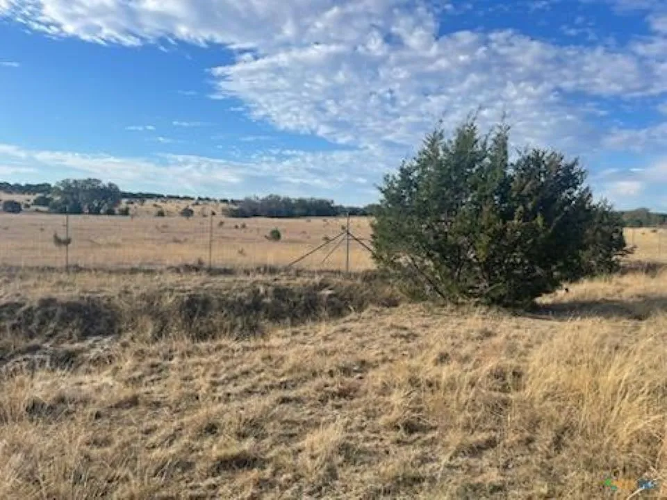 Heartleaf Drive Lampasas, TX 76550