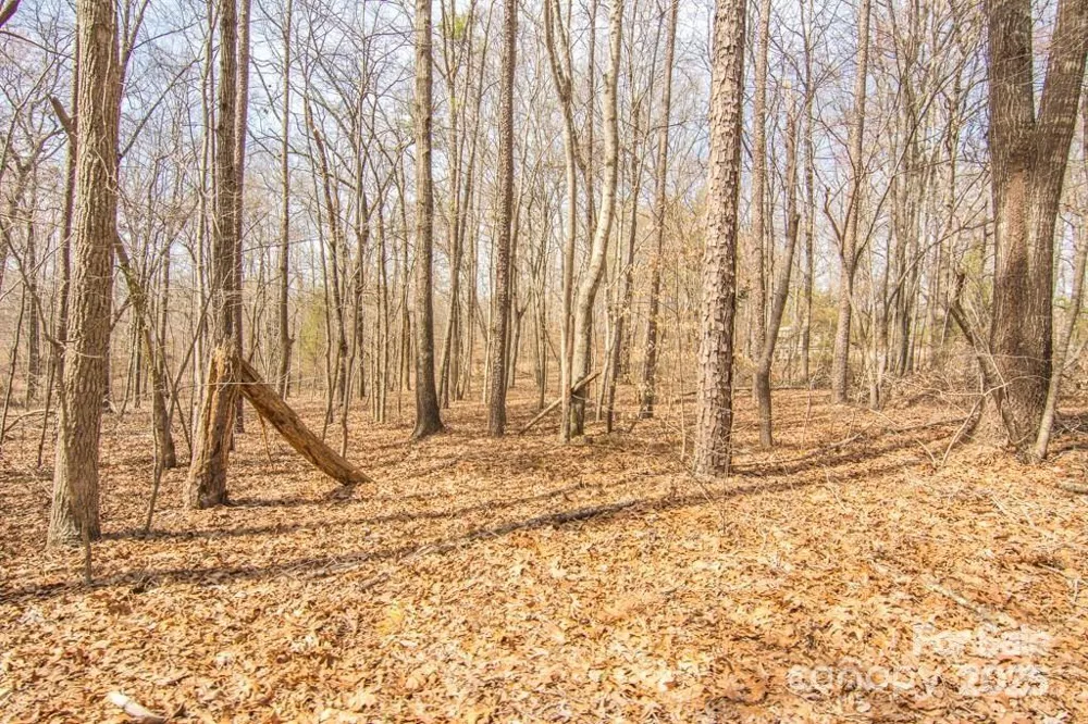 000 Jim Wilson Road Indian Land, SC 29707