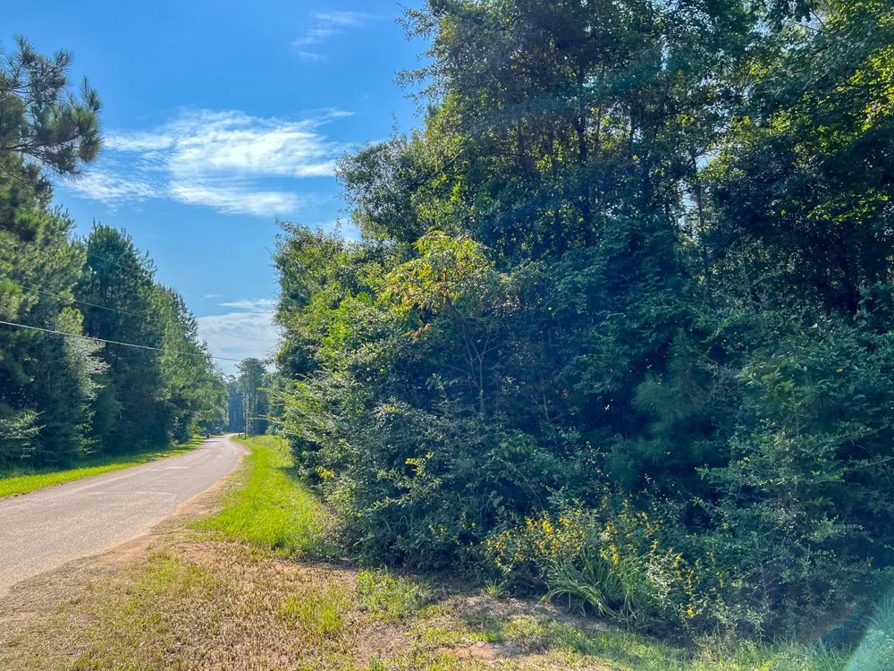 2 County Road 1325 Warren, TX 77664