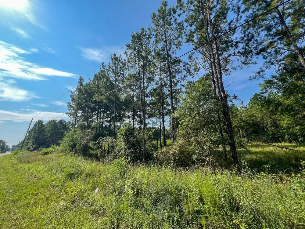 2 County Road 1325 Warren, TX 77664
