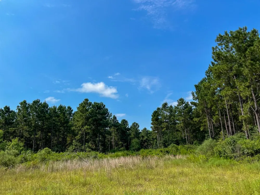 2 County Road 1325 Warren, TX 77664