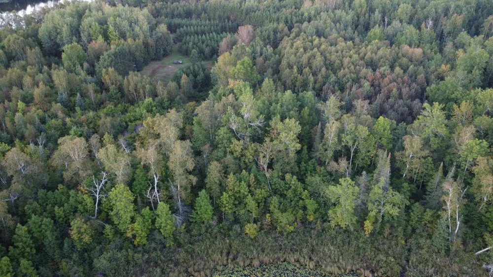 Parcel B E Gunn Lake Trail Marcell, MN 56657