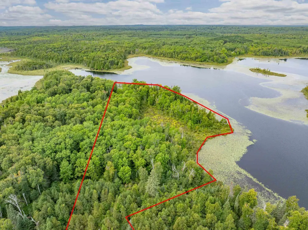 Parcel B E Gunn Lake Trail Marcell, MN 56657
