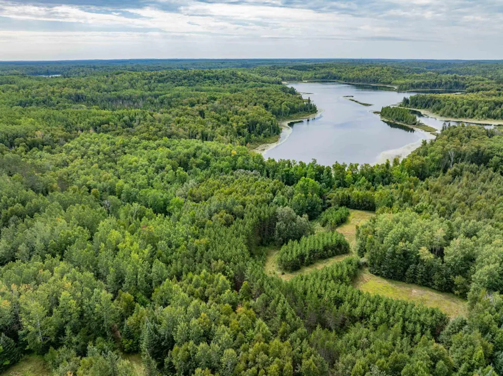 Parcel B E Gunn Lake Trail Marcell, MN 56657