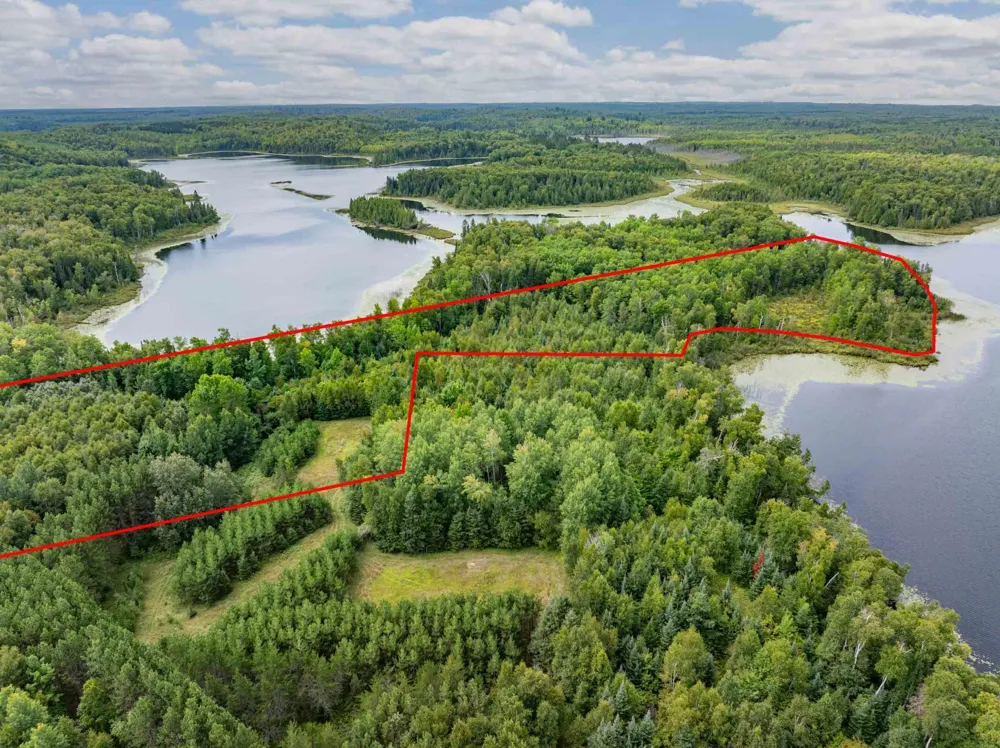 Parcel B E Gunn Lake Trail Marcell, MN 56657