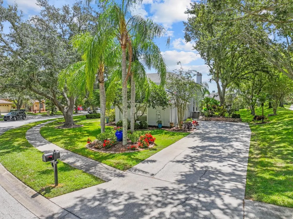 2328 WARWICK DRIVE Oldsmar, FL 34677