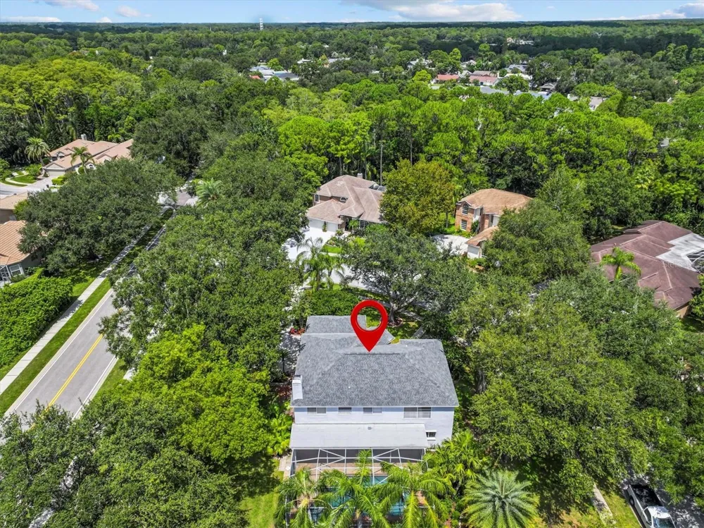 2328 WARWICK DRIVE Oldsmar, FL 34677
