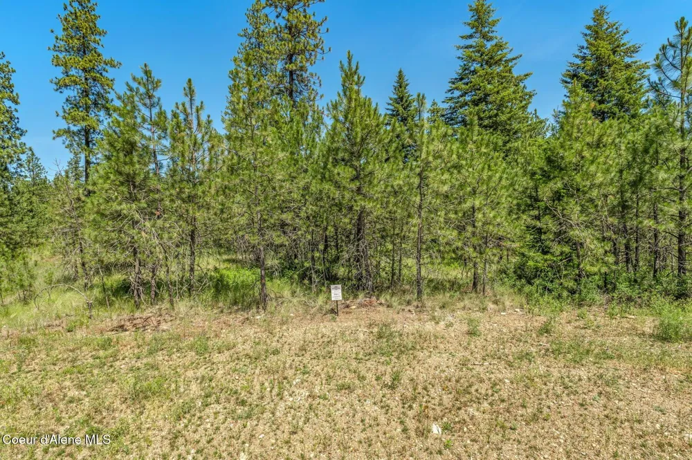 Lot 20 Asulkan St Athol, ID 83801