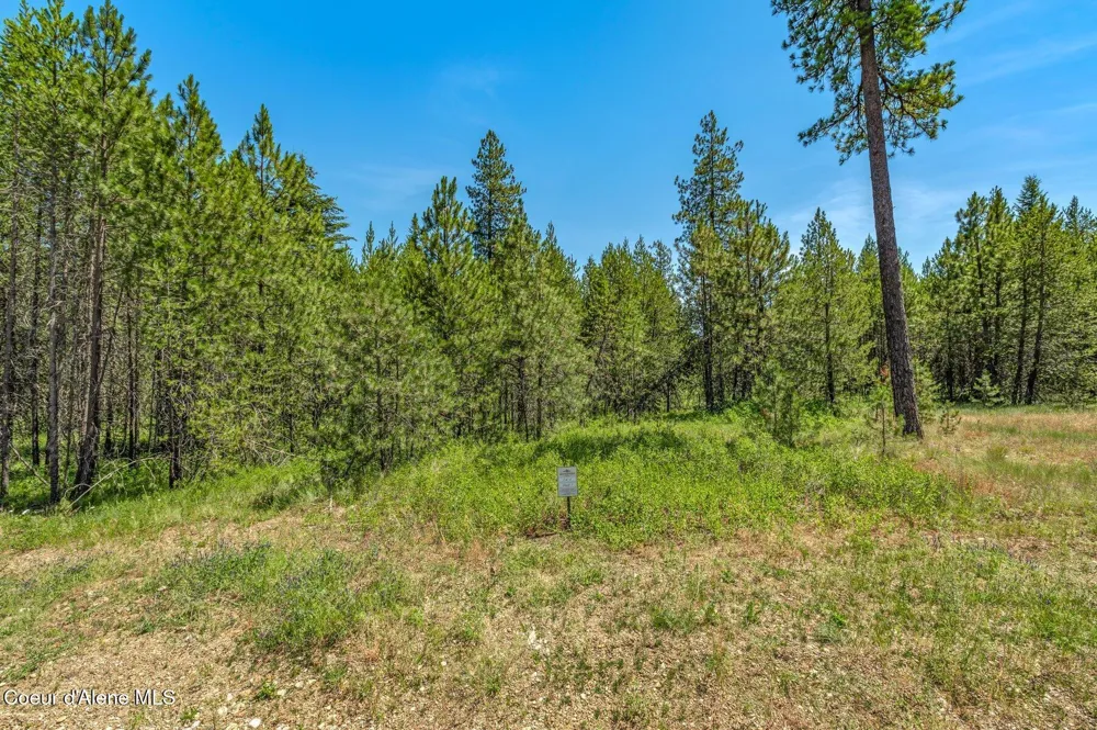 Lot 20 Asulkan St Athol, ID 83801