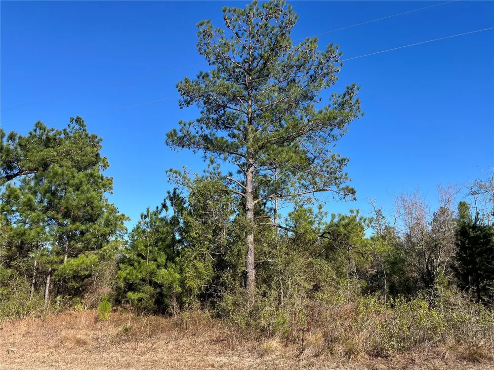 FAIRVIEW ROAD Marianna, FL 32448