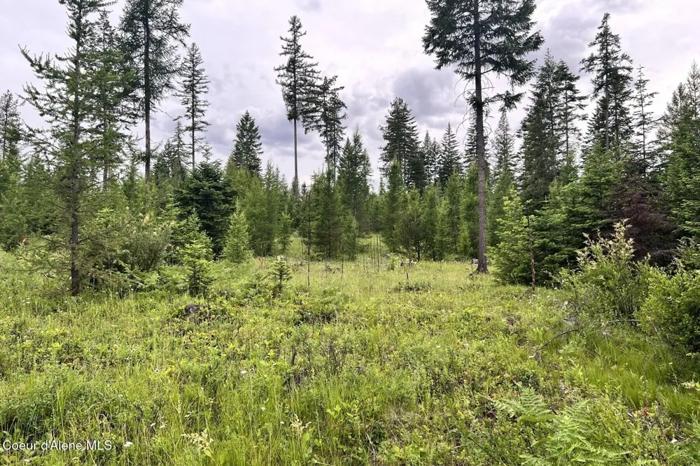 DB Lot 11 Blk 1 Leonard Loop Athol, ID 83801