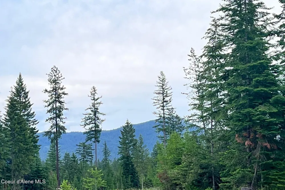 DB Lot 11 Blk 1 Leonard Loop Athol, ID 83801