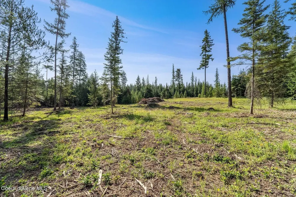 DB Lot 11 Blk 1 Leonard Loop Athol, ID 83801