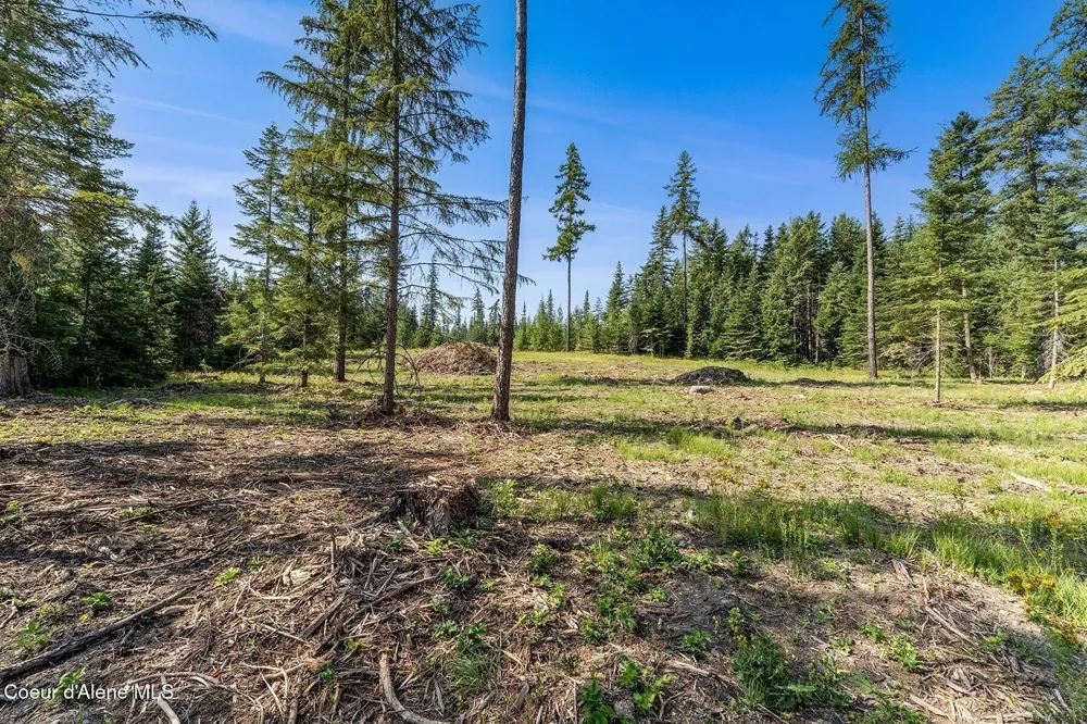 DB Lot 11 Blk 1 Leonard Loop Athol, ID 83801